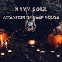 Navy Soul / - Attention of Deep House