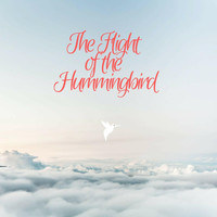 Fresh IE - The Flight of the Hummingbird