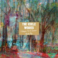 The Icicle Works - Whisper to a Scream (Birds Fly)