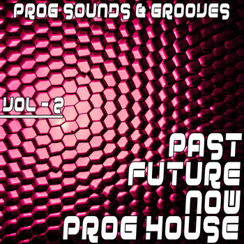 Various Artists - Past, Future, Now: Prog House, Vol. 2 (Prog Sounds & Grooves)