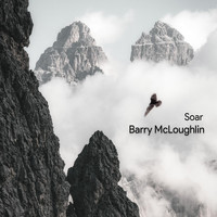 Barry McLoughlin - Soar