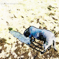 Ulex - Not Enough Horses