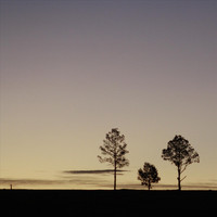Alba - Arrebol