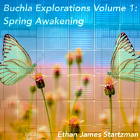 Ethan James Startzman - Buchla Explorations, Vol. 1: Spring Awakening