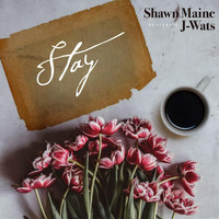 Shawn Maine - Stay