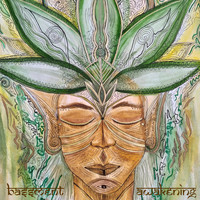 Bassment - Awakening