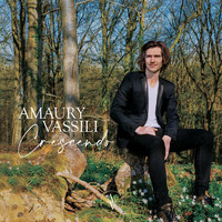 Amaury Vassili - You'll Never Walk Alone