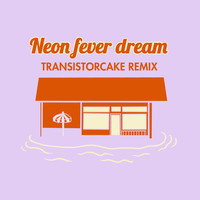 Compact Disk Dummies - Neon Fever Dream (Transistorcake Remix)