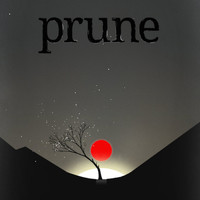 Kyle Preston - Prune (Original Game Soundtrack)