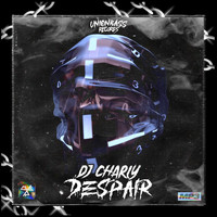 DJ Charly - Despair