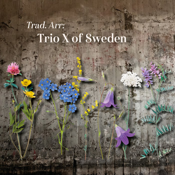 Trio X of Sweden - Trad. Arr