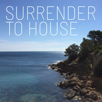 Various Artists - Surrender to House