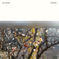 Ian Wong - Promise
