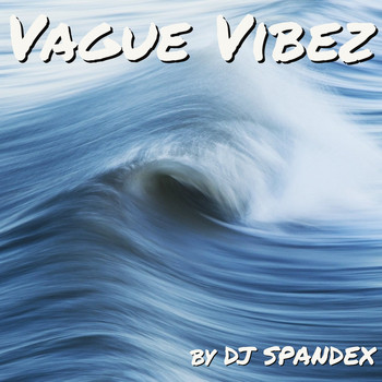 DJ Spandex / - Vague Vibez