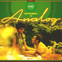 The Other Guys - Spring In Analog: Season 2