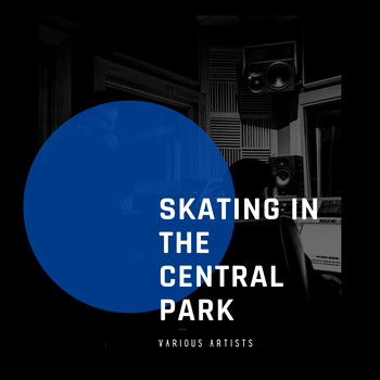 Various Artists - Skating in the Central Park