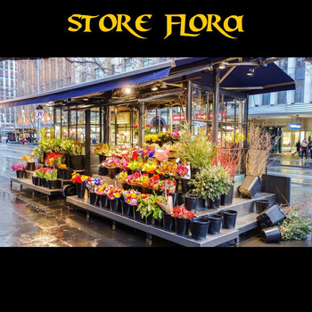 Moulton Berlin Orchestra / - Store Flora