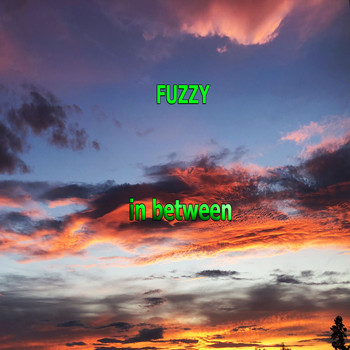 Fuzzy - In Between
