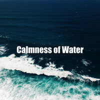 Ocean Sounds Ace - Calmness of Water