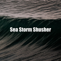 Focus Sea Noise - Sea Storm Shusher