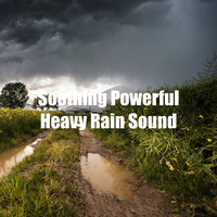 Lullaby Rain - Soothing Powerful Heavy Rain Sound