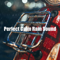 Rainfall For Sleep - Perfect Calm Rain Sound