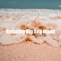 Ocean Sounds Ace - Relaxing Big Sea Mood