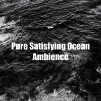 The Ocean Waves Sounds - Pure Satisfying Ocean Ambience