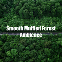 Nature Sounds XLE Library - Smooth Muffled Forest Ambience