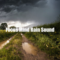 Natural Rain Sounds for Sleeping - Focus Mind Rain Sound