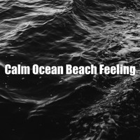 Beach Waves ASMR - Calm Ocean Beach Feeling