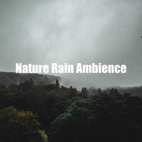 Deep Rain Sampling - Nature Rain Ambience