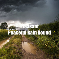 Rainfall For Sleep - Pleasant Peaceful Rain Sound