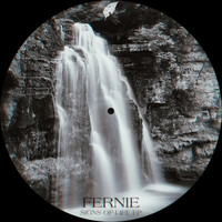 Fernie - Signs of Life