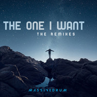 Massivedrum - The One I Want (The Remixes)