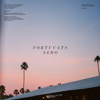 Forty Cats - Nebo