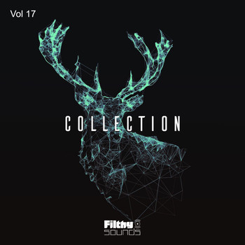 Various Artists - Filthy Sounds Collection, Vol. 17