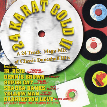 Various Artists - 24 Karat Gold II: Classic Dancehall Megamix