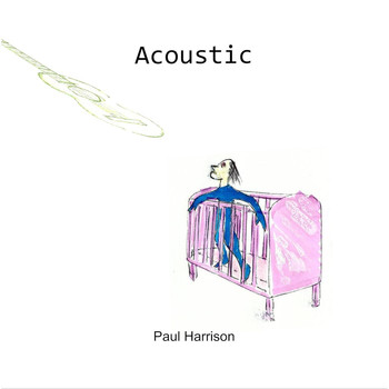 Paul Harrison - Acoustic