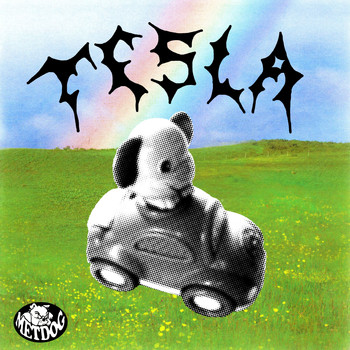 Metdog - tesla