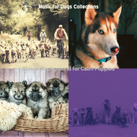 Music for Dogs Collections - Classic Background for Calm Puppies