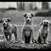 Music for Dogs Collections - Music for Calming Dogs