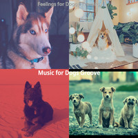Music for Dogs Groove - Feelings for Doggy Training