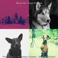 Music for Dogs Groove - Playful Music for Sleepy Puppies - Acoustic Guitars