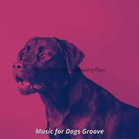 Music for Dogs Groove - Retro Ambiance for Relaxing Pups