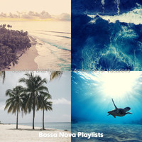 Bossa Nova Playlists - Sparkling Brazilian Jazz - Ambiance for Vacations