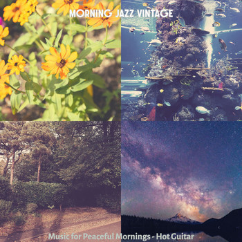 Morning Jazz Vintage - Music for Peaceful Mornings - Hot Guitar