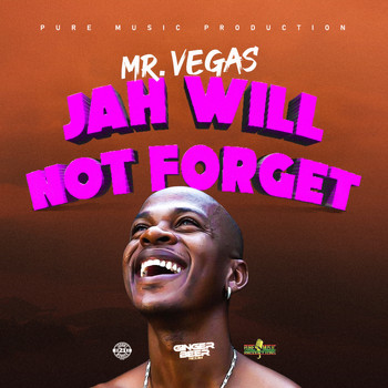 Mr. Vegas - Jah Will Not Forget