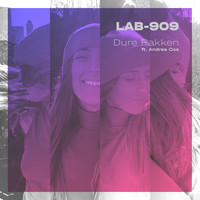 Lab-909 - Dure Pakken