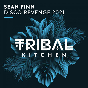 Sean Finn - Disco Revenge 2021